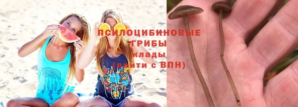 MDMA Premium VHQ Михайловск