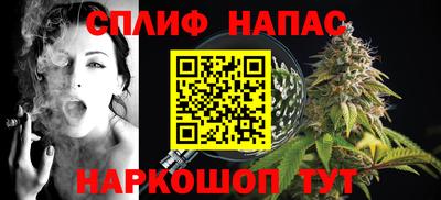 хмурый Бийск