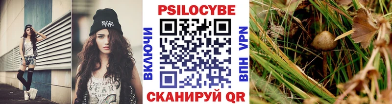 Псилоцибиновые грибы MAGIC MUSHROOMS  Новомосковск 