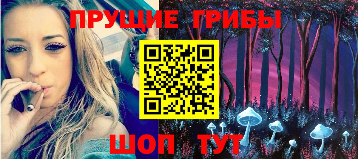 Галлюциногенные грибы GOLDEN TEACHER  Вход с VPN  Новомосковск 