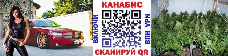 МАРИХУАНА план магазин продажи Новомосковск