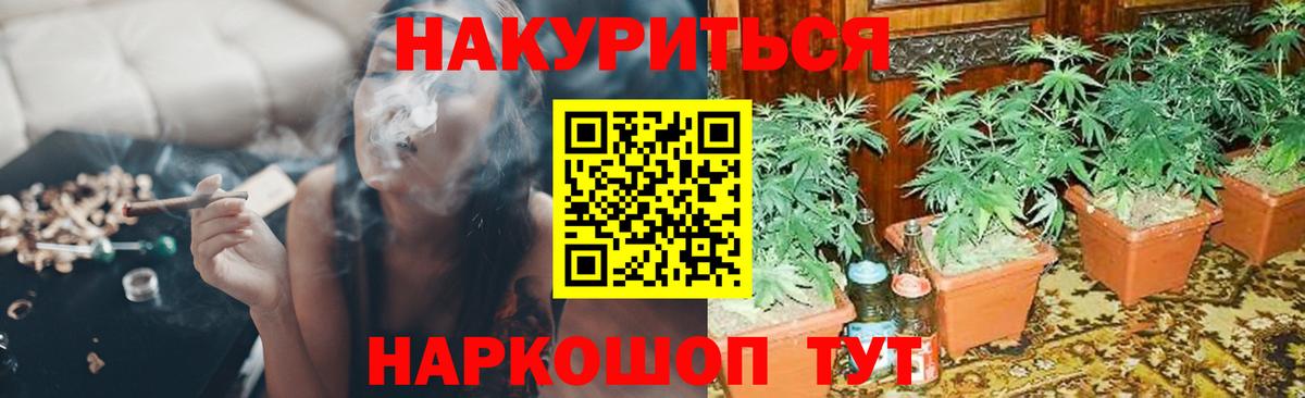 Канабис MAZAR  Марихуана LSD WEED  Новомосковск  Канабис сатива 